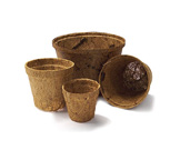 Coir Pots