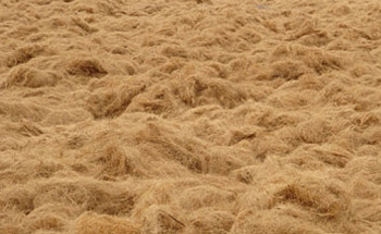 Coco fibre